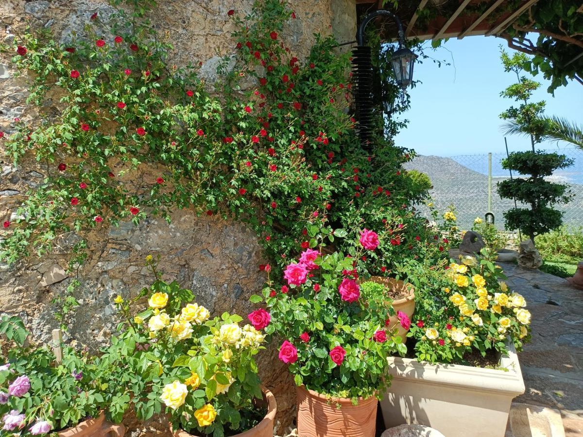 Traditional Windmill-Milos Kroustas Exterior foto